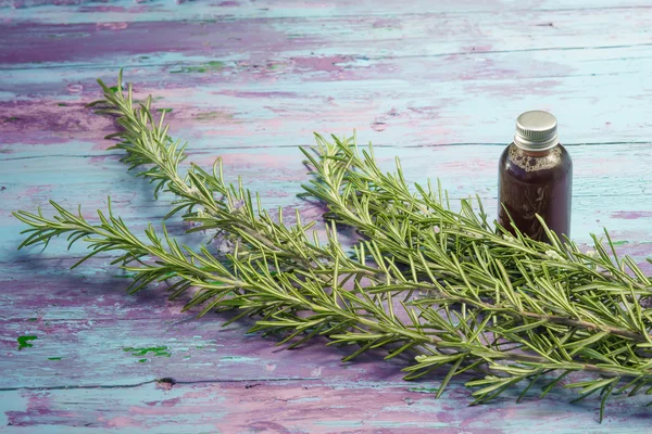 Rosemary (Rosmarinus officinalis) — Stock Photo, Image