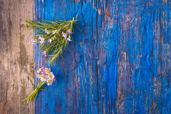 Small  nosegays of rosemary and daisies — Stock Photo, Image