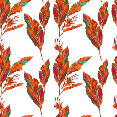 Beyaz Arkaplanda Canlı El Boyalı Tropikal Tüyler Örnekleri