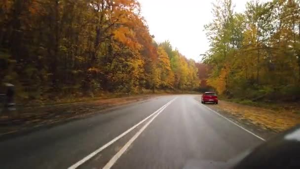 Grabación Grabada Desde Interior Del Coche Coche Está Conduciendo Hermoso — Vídeo de stock