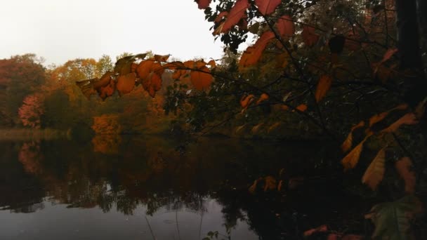 Panoramique Sur Petit Magnifique Lac Hjortedam Dans Réserve Naturelle Dyrehaven — Video