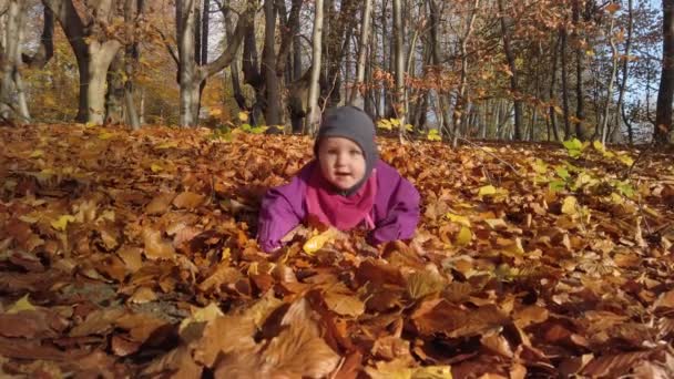 Menina Bonito Pequeno Macacão Roxo Rastejando Torno Belas Folhas Coloridas — Vídeo de Stock