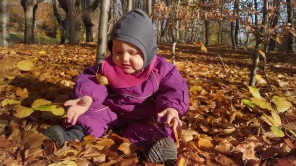 보라색 점프수트를 귀여운 여아가 아름다운 색깔의 가지고 소녀는 땅에서 나뭇잎을 — 비디오