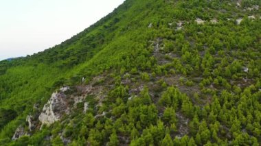 Yunanistan 'daki Gerania dağının insansız hava aracı görüntüleri. İnsansız hava aracı, yemyeşil ağaçlarla dolu dağın yamacına bakıyor ve sonra tepeye doğru uçuyor. 1080p