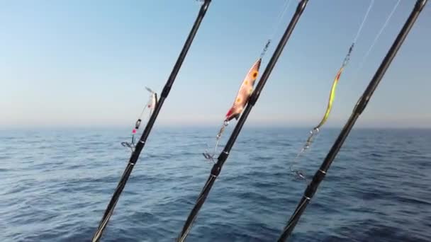 Three Fishing Rods Hooked Spinners Ready Fishing Rods Lined Row — Stock Video