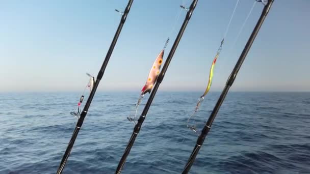 Trois Cannes Pêche Reliées Par Des Fileurs Prêtes Pour Pêche — Video