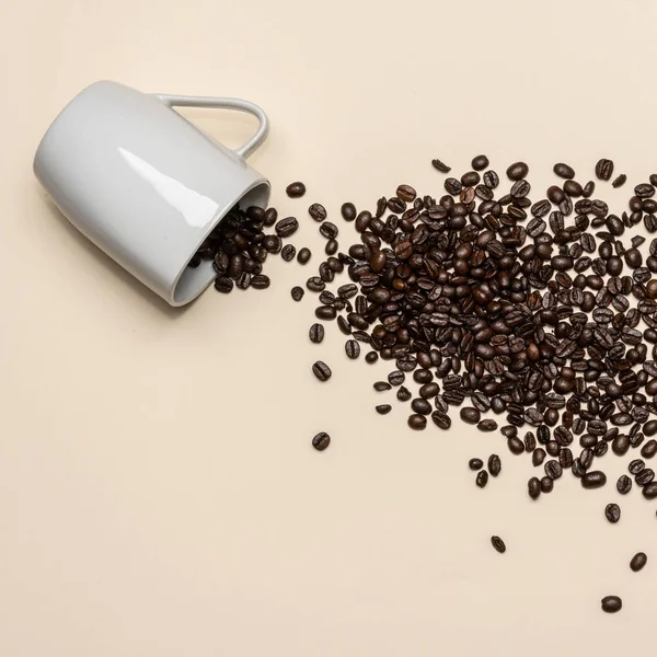 Rostade Kaffebönor Utspridda Färgad Bakgrund Bönorna Utspridda Från Vit Kopp — Stockfoto