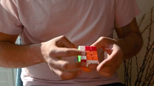 Young Man Sitting Chair Comfort His Own Home Solving Puzzle — Stock Video