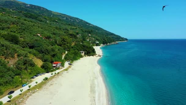 Drone Terbang Mundur Atas Pantai Berpasir Horefto Yunani Ada Burung — Stok Video