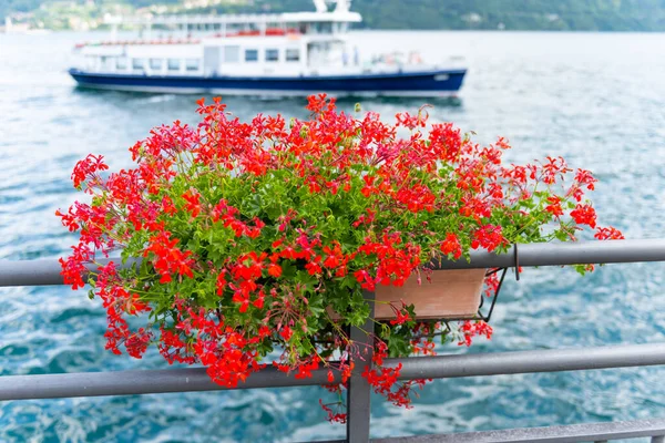 Krabička Krásnými Červenými Květy Zavěšená Zábradlí Krásné Jezero Como Pozadí — Stock fotografie