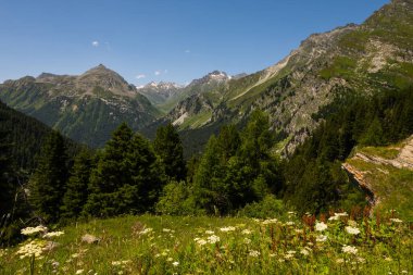 İsviçre ve İtalya arasındaki Bregaglia vadisinde Maloja geçidinin tepesinden güzel bir manzara. Güzel güneşli bir yaz günü, mavi gökyüzü ve sadece birkaç bulutla..