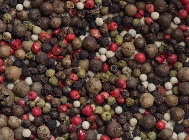 renkli biber karışımı