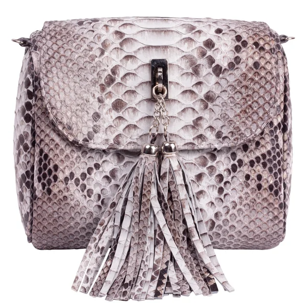패션 이국적인 snakeskin 가방 지갑 핸드백 — 스톡 사진