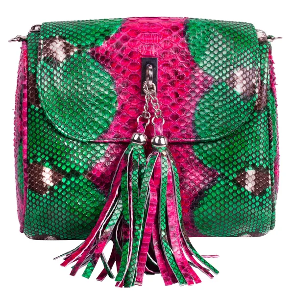 Fashion exotic snakeskin bag purse handbag — Stock Photo, Image