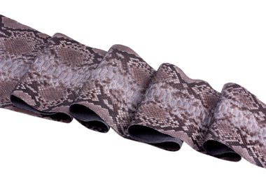 Arka plan piton yılan derisi, desen, deri