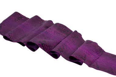 Arka plan piton yılan derisi, desen, deri