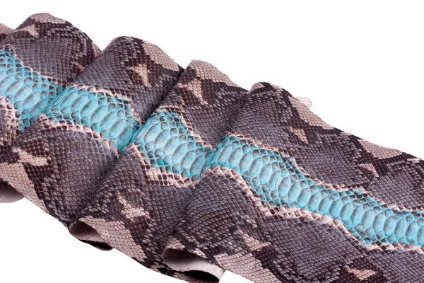 Background python snakeskin, pattern, leather — Stock Photo, Image