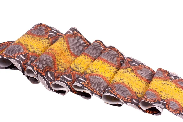 背景巨蟒蛇皮、 模式、 皮革 — 图库照片