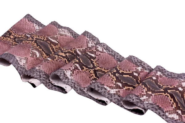 Fundo python pele de cobra, padrão, couro — Fotografia de Stock