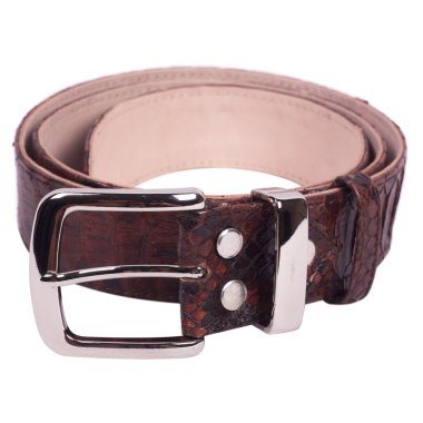 Moda yılan derisi (piton) deri kemer beyaz bir arka plan üzerinde izole