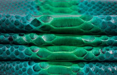 Piton yılan derisi deri arka plan, yılan derisi, doku, hayvan, sürüngen