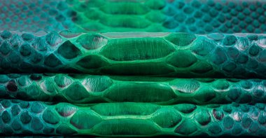 Piton yılan derisi deri arka plan, yılan derisi, doku, hayvan, sürüngen