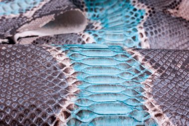 Piton yılan derisi deri arka plan, yılan derisi, doku, hayvan, sürüngen