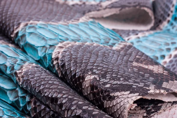 Python ormskinn läder bakgrund, ormskinn, textur, djur, reptil — Stockfoto