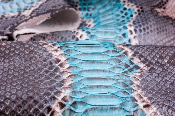 Piton yılan derisi deri arka plan, yılan derisi, doku, hayvan, sürüngen