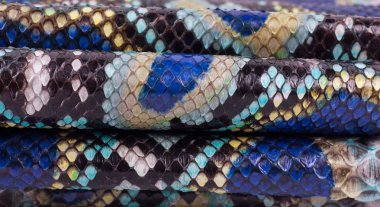 Piton yılan derisi deri arka plan, yılan derisi, doku, hayvan, sürüngen