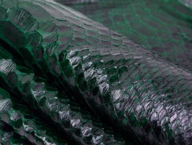 Piton yılan derisi deri arka plan, yılan derisi, doku, hayvan, sürüngen