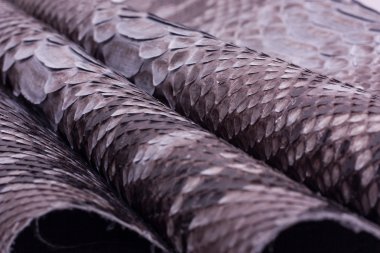 Piton yılan derisi deri arka plan, yılan derisi, doku, hayvan, sürüngen