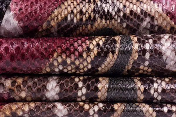 Кожаный фон из змеиной кожи, кожа змеи, текстура, животное, рептилия — стоковое фото