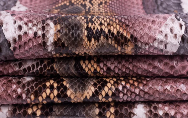 Python ormskinn läder bakgrund, ormskinn, textur, djur, reptil — Stockfoto