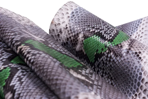 Python snakeskin leather background, snake skin, texture, animal, reptile — Stock Photo, Image