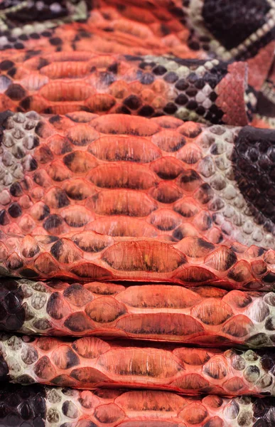 Hadí kůže, textury, pozadí python kůže hadí kůže, plaz zvíře — Stock fotografie