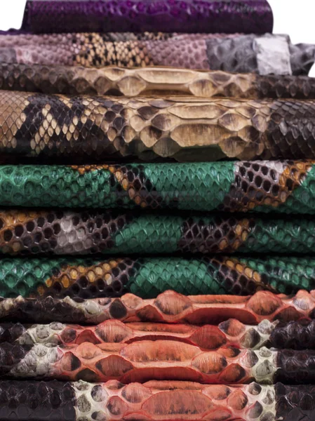 Python snakeskin leather background, snake skin, texture, animal, reptile — Stock Photo, Image