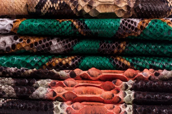 Python snakeskin leather background, snake skin, texture, animal, reptile — Stock Photo, Image