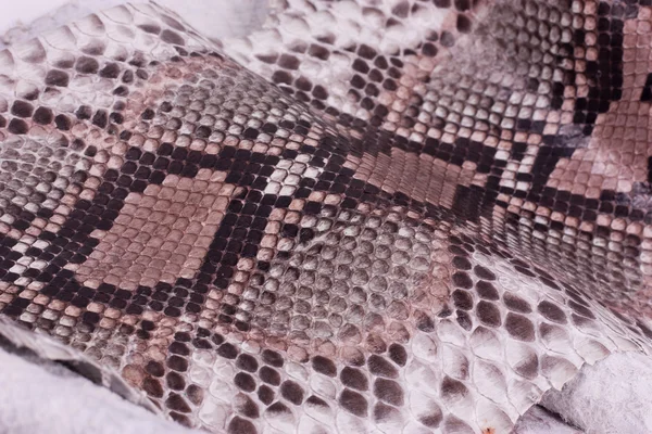 Python snakeskin 가죽 배경, 뱀 피부, 질감, 동물, 파충류 — 스톡 사진
