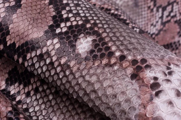 Python pele de cobra fundo de couro, pele de cobra, textura, animal, réptil — Fotografia de Stock