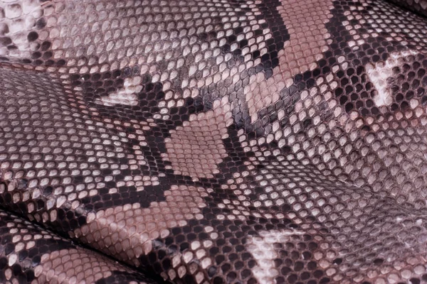 Python snakeskin leather background, snake skin, texture, animal, reptile — Stock Photo, Image