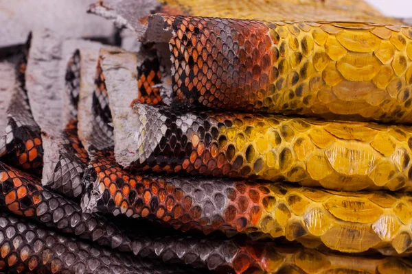 Python sfondo pelle di serpente, pelle di serpente, consistenza, animale, rettile — Foto Stock