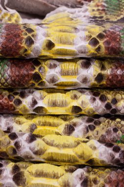 Piton yılan derisi deri arka plan, yılan derisi, doku, hayvan, sürüngen