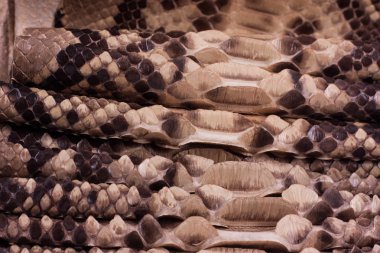 Piton yılan derisi deri arka plan, yılan derisi, doku, hayvan, sürüngen