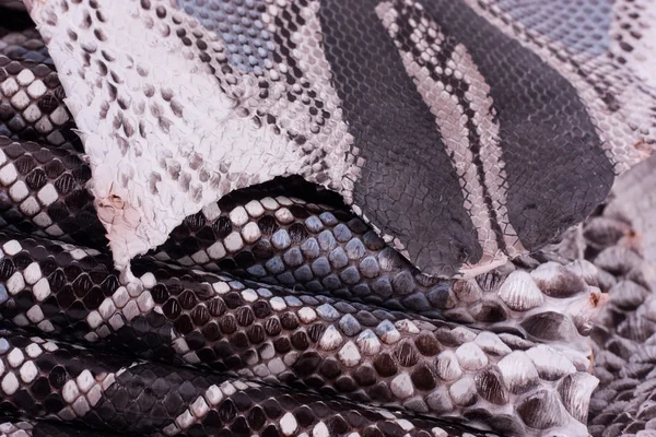 Python snakeskin leather background, snake skin, texture, animal, reptile — Stock Photo, Image