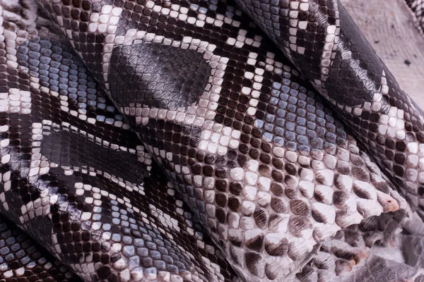 Python snakeskin leather background, snake skin, texture, animal, reptile — Stock Photo, Image