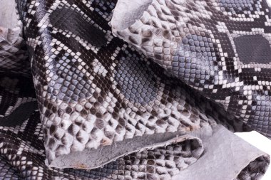 Piton yılan derisi deri arka plan, yılan derisi, doku, hayvan, sürüngen