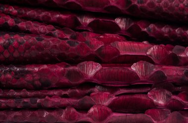 Piton yılan derisi deri arka plan, yılan derisi, doku, hayvan, sürüngen