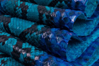 Piton yılan derisi deri arka plan, yılan derisi, doku, hayvan, sürüngen