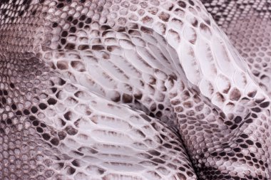 Piton yılan derisi deri arka plan, yılan derisi, doku, hayvan, sürüngen